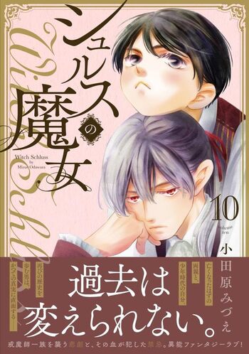 【日本語版】【サージフォイル】【ボーダーレス版】魔女、ヤ・シュトラ・ルル MTG 魔女、ヤ・シュトラ・ルル 日本語 ボーダーレス サージ foil 魔女