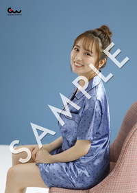 ナツミさん専用 ナツ美ビッグブロマイド01（サイン無） - 株式会社ガイドワークス