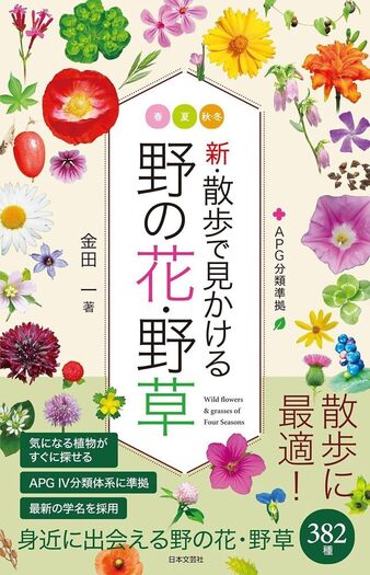 東江写生帳♢♢♢♢上 ✨生命ある野の花✨ 東江写生帳♢♢♢♢上
