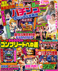 パチンコオリジナル実戦術(2007年) DVD 10 枚セット 【85】 パチンコオリジナル実戦術（EX） - 株式会社ガイドワークス