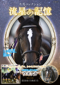 競馬王WEB