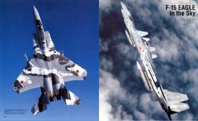 航空自衛隊F-15[改訂版] （自衛隊の名機シリーズ） - イカロス出版