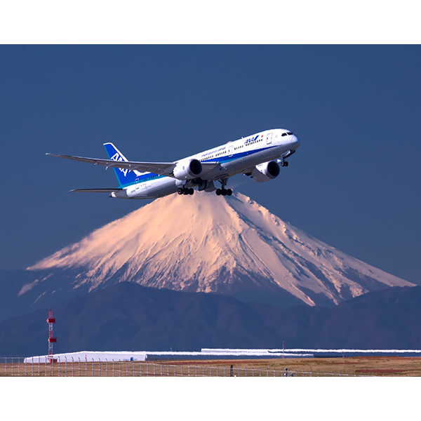 Go！Go！787（イカロスカレンダー2025） - イカロス出版 イカロス出版の本