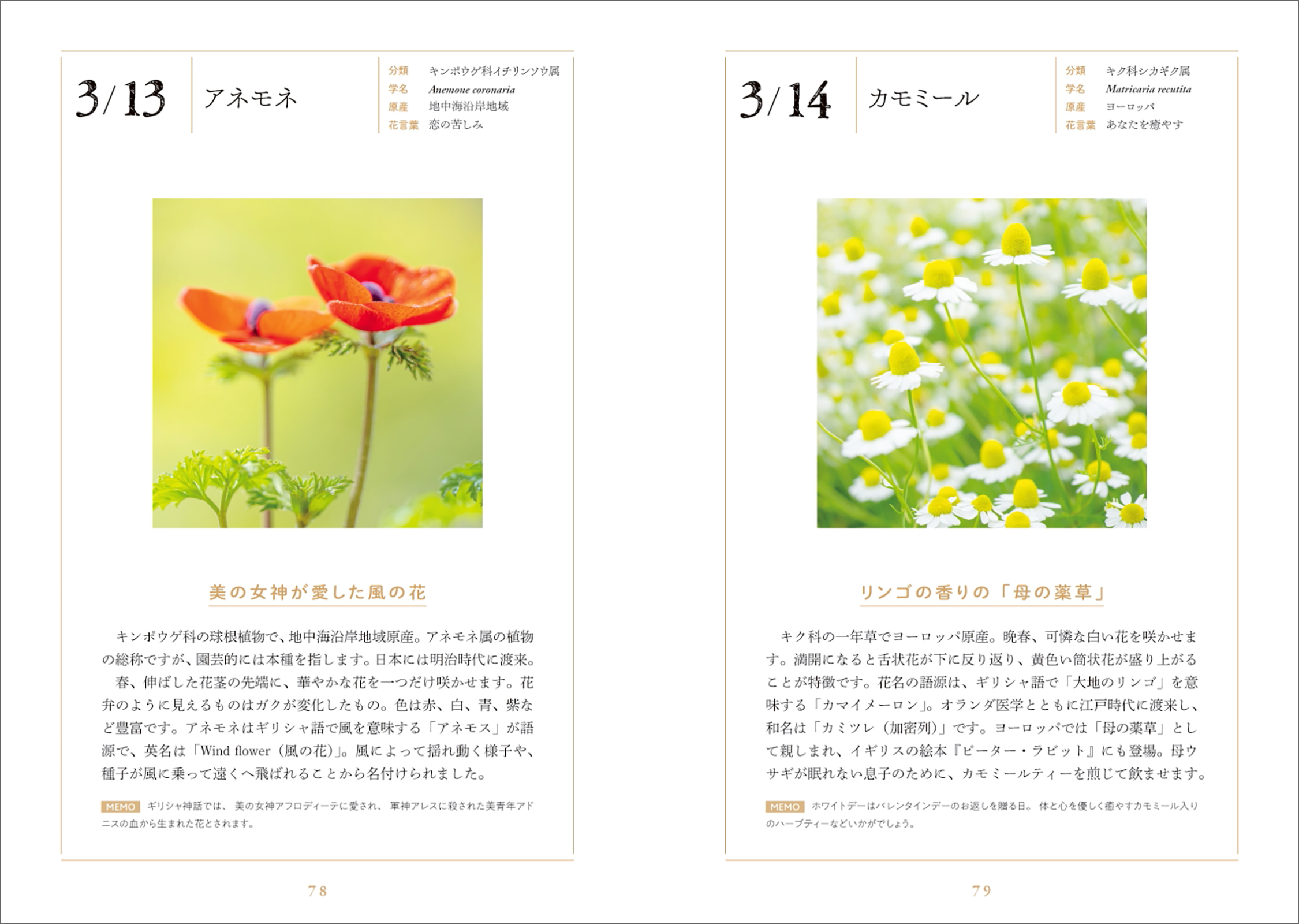 決定版　自然大図鑑　日本の花 A1uOoTg6QGL._UF350,350_QL50_.jpg