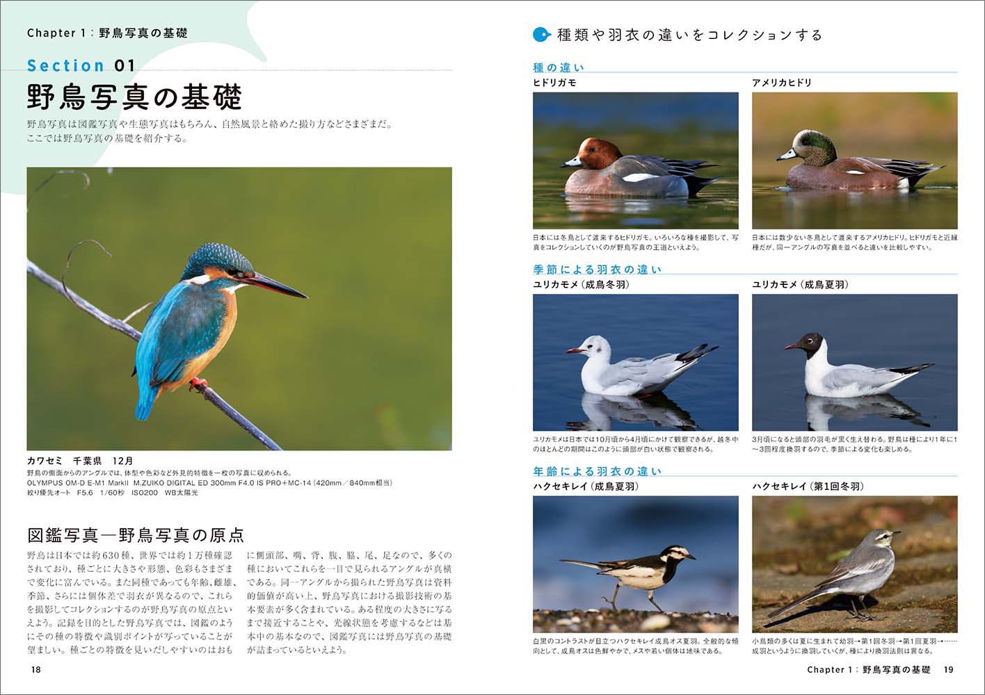 小動物の接写とマクロ写真―生態写真入門 (共立フォトグラフィックシリーズ) 野鳥写真の教科書 - 株式会社玄光社