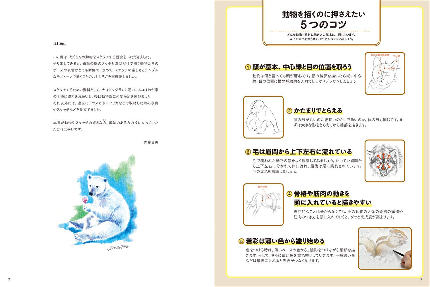 動物を描く 空想生物図鑑 No.011 ジュウジタツ #イラスト