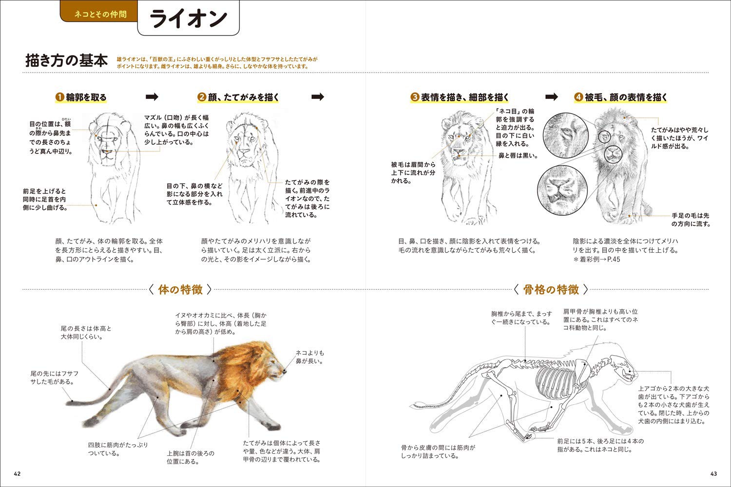 動物を描く 描き方】リアル動物ペン画 描き方とコツ 簡単 かわいい 猫 How