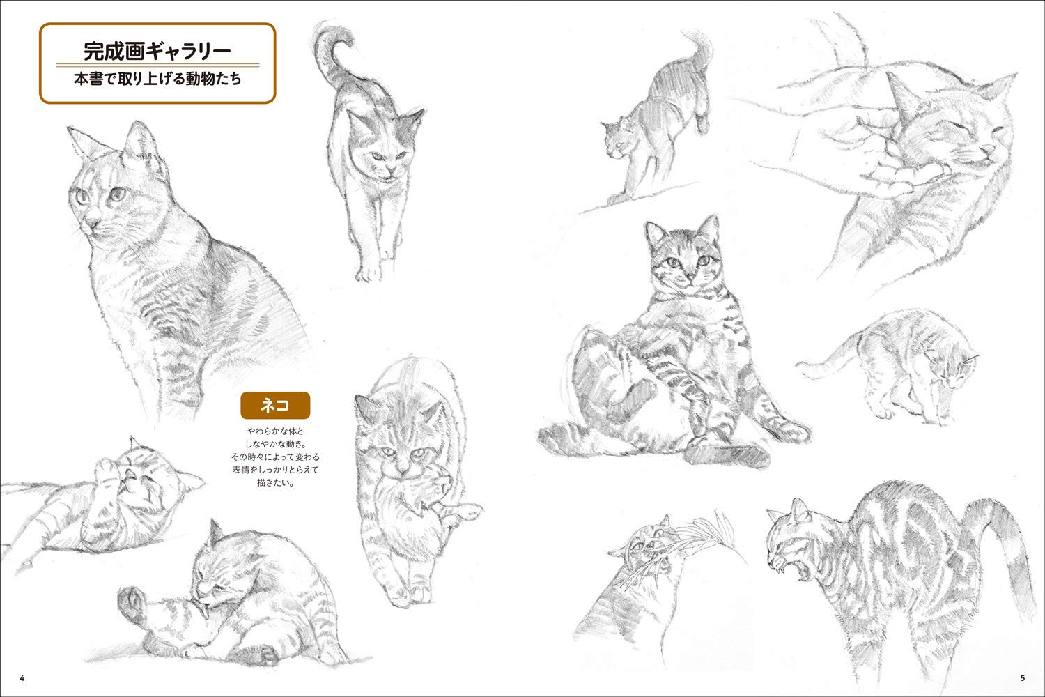 動物を描く 動物を描こう | 内藤 貞夫 |本 | 通販 | Amazon