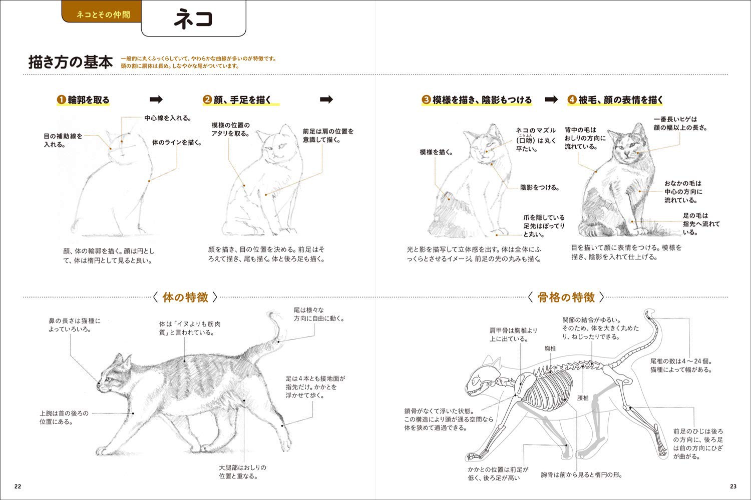 動物を描こう - 株式会社玄光社