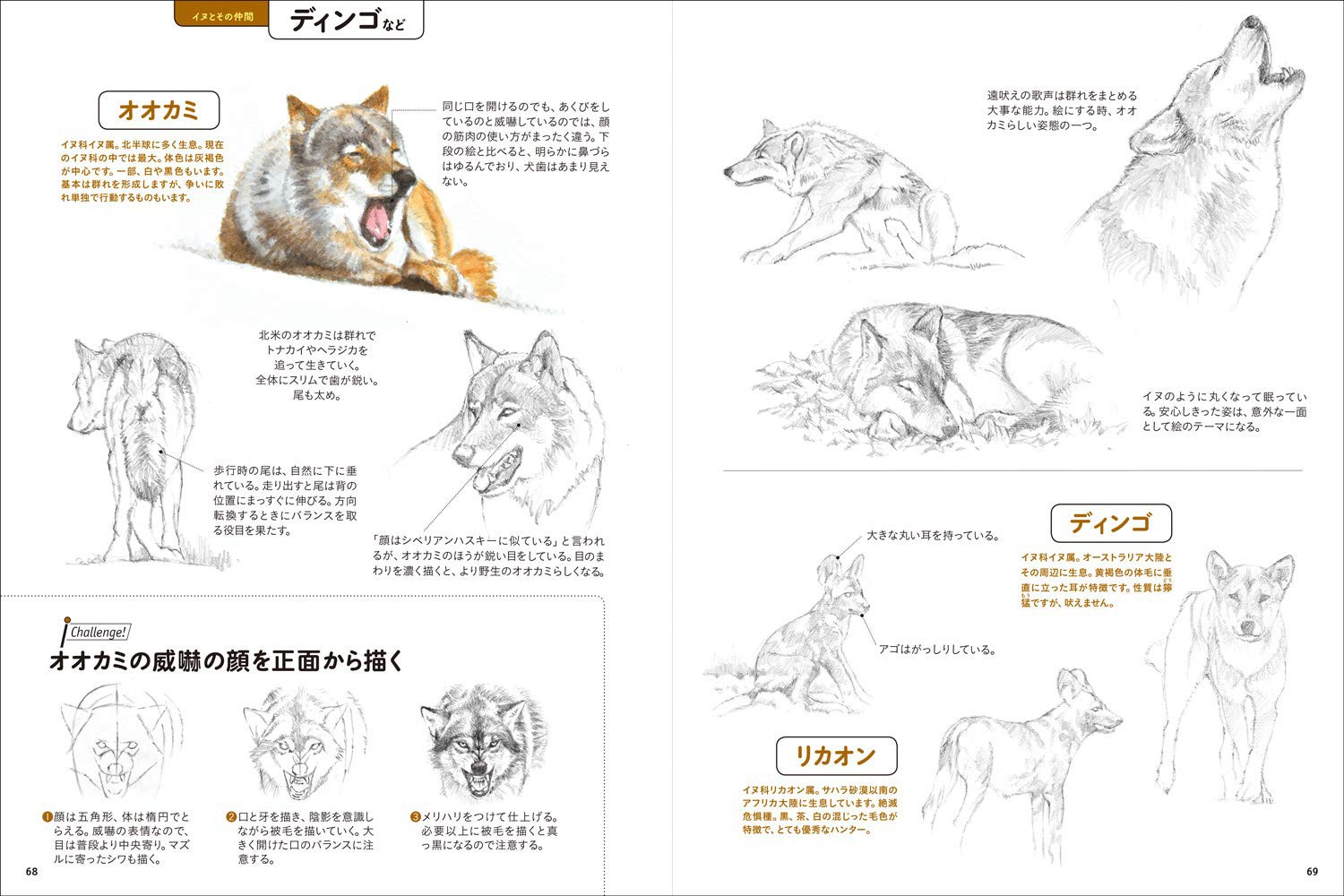 動物を描く 描き方】リアル動物ペン画 描き方とコツ 簡単 かわいい 猫 How