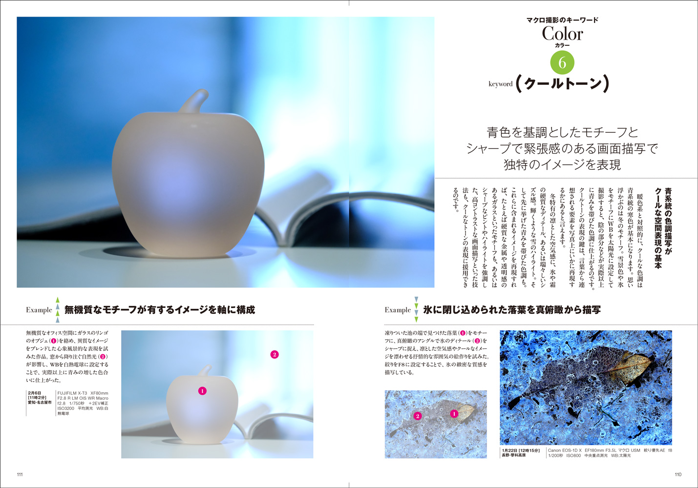 小動物の接写とマクロ写真—生態写真入門 (共立フォトグラフィックシリーズ) 小動物の接写とマクロ写真 生態写真入門 共立フォトグラフィック