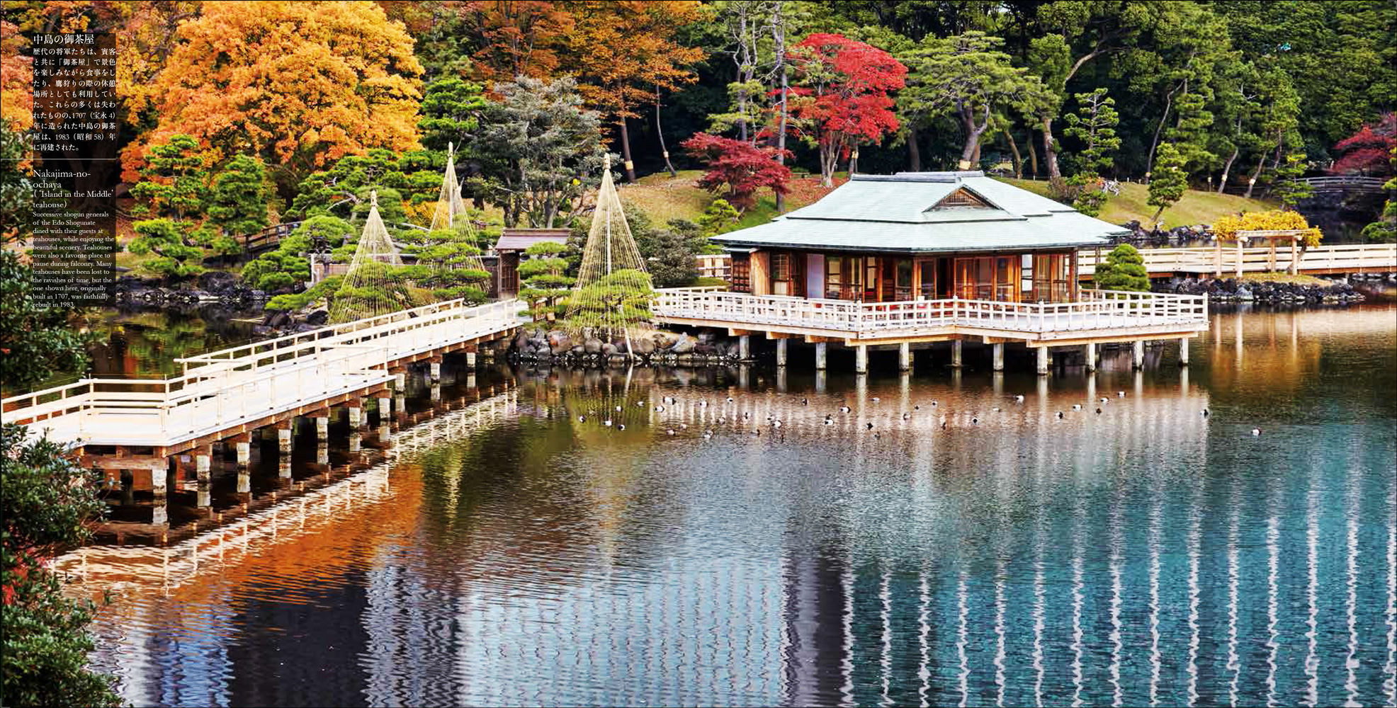 東京旧庭 TOKYO VINTAGE GARDENS - 株式会社玄光社
