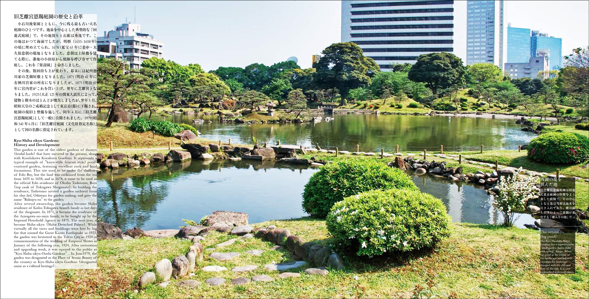 坪庭　　昭和時代 Japanesegarden～坪庭～ | お写真で施工の様子やこれまでの実例