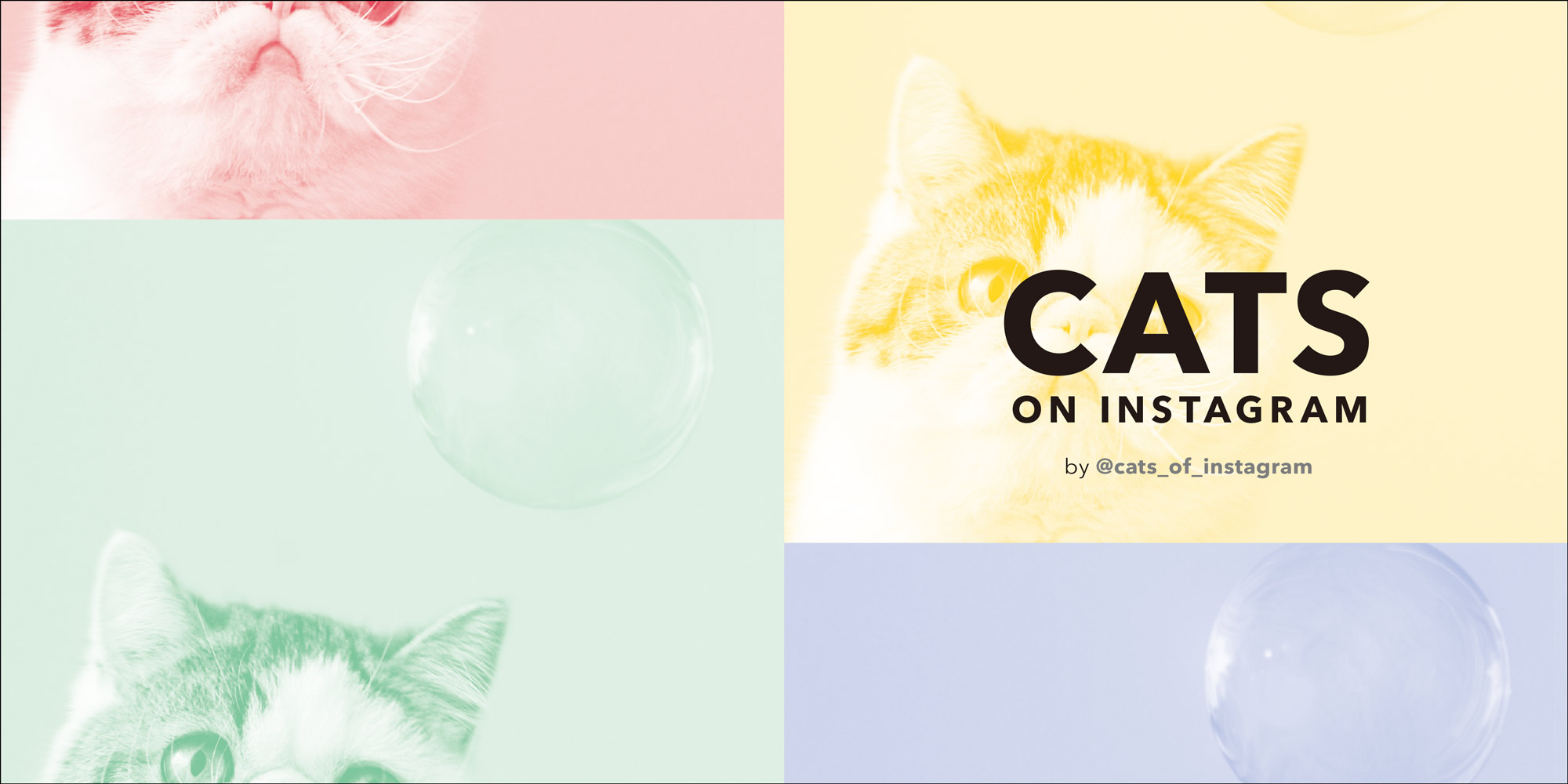 CATS HANNS REICH フォトグラファーによる猫の写真を集めた作品集 古書古本 dessin: CATS（Hanns Reich, Eugen Skasa-Weiss, Hill