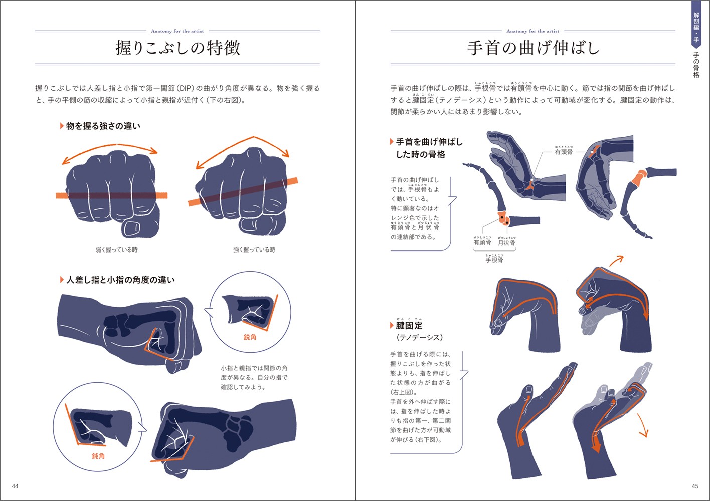 【まとめ売り】イラスト技法書・色彩検定・美術解剖学 12冊セット 描き方事典 他 ヨドバシ.com - 一気に画力が上がる!身体の描き方&解剖事典 [単行本