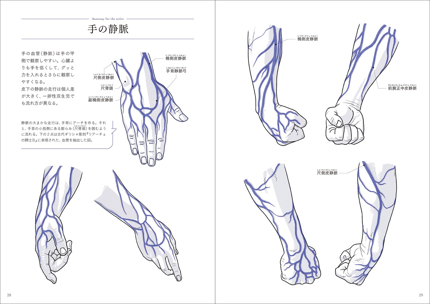 手+足の美術解剖学 - 株式会社玄光社