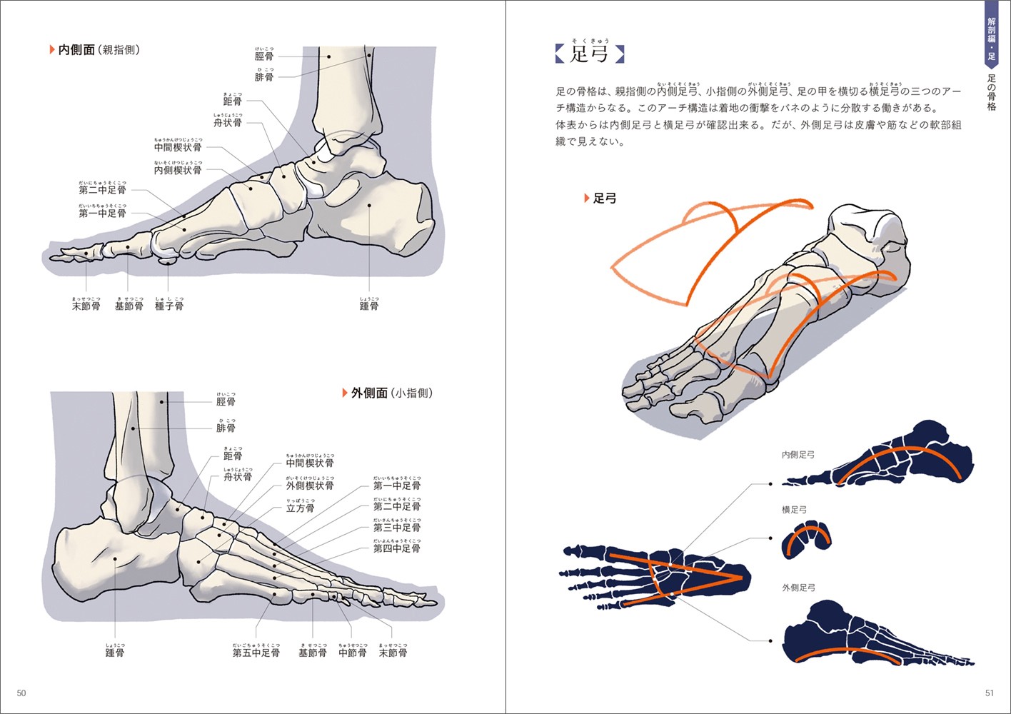 手+足の美術解剖学 - 株式会社玄光社