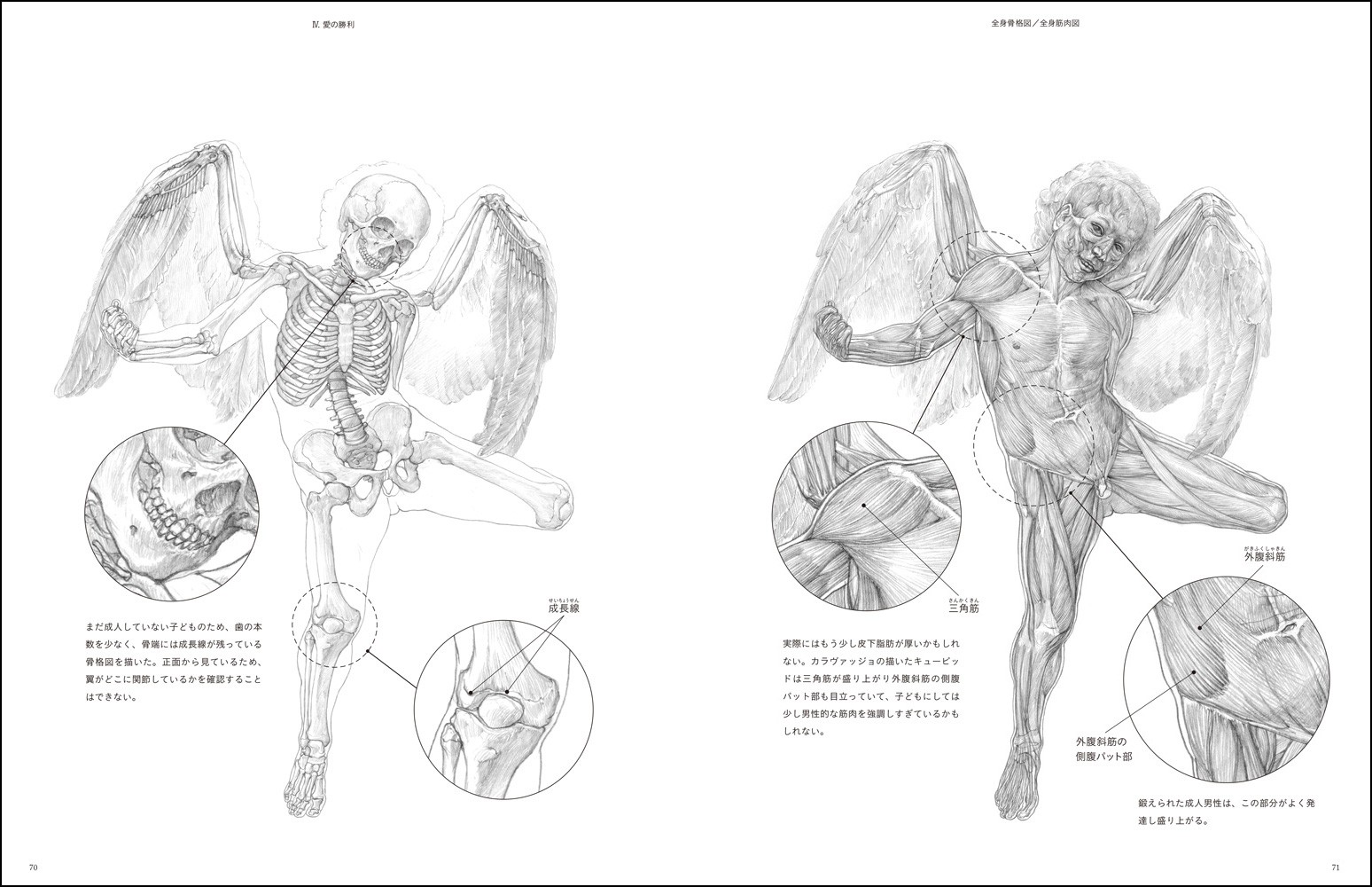 うつくしい美術解剖図 - 株式会社玄光社