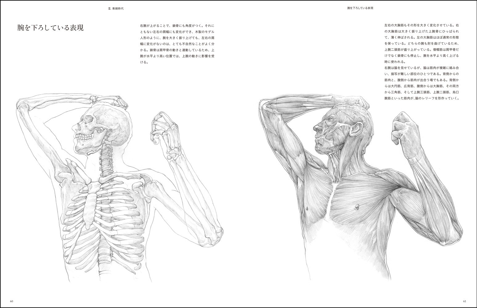 Figure Drawing 　美術　解剖図　遠近法　ドローイング　イラスト モーションを描くための美術解剖学 | ヴァレリー・L・ウィンスロゥ