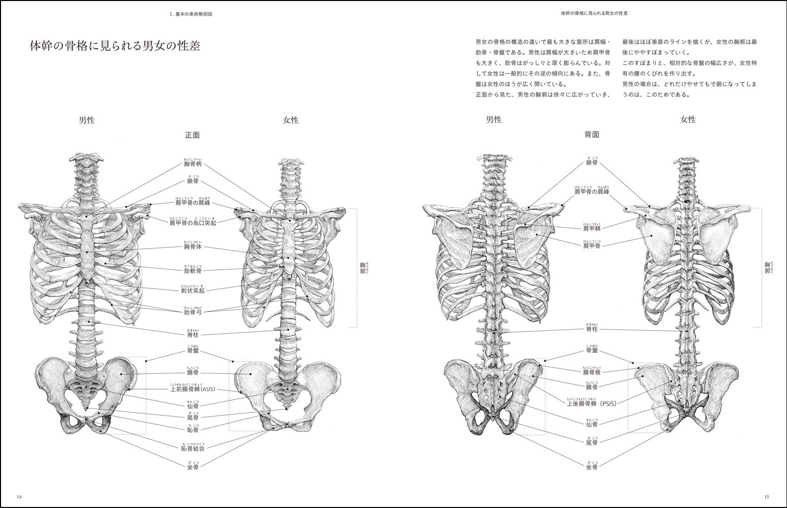 うつくしい美術解剖図 - 株式会社玄光社