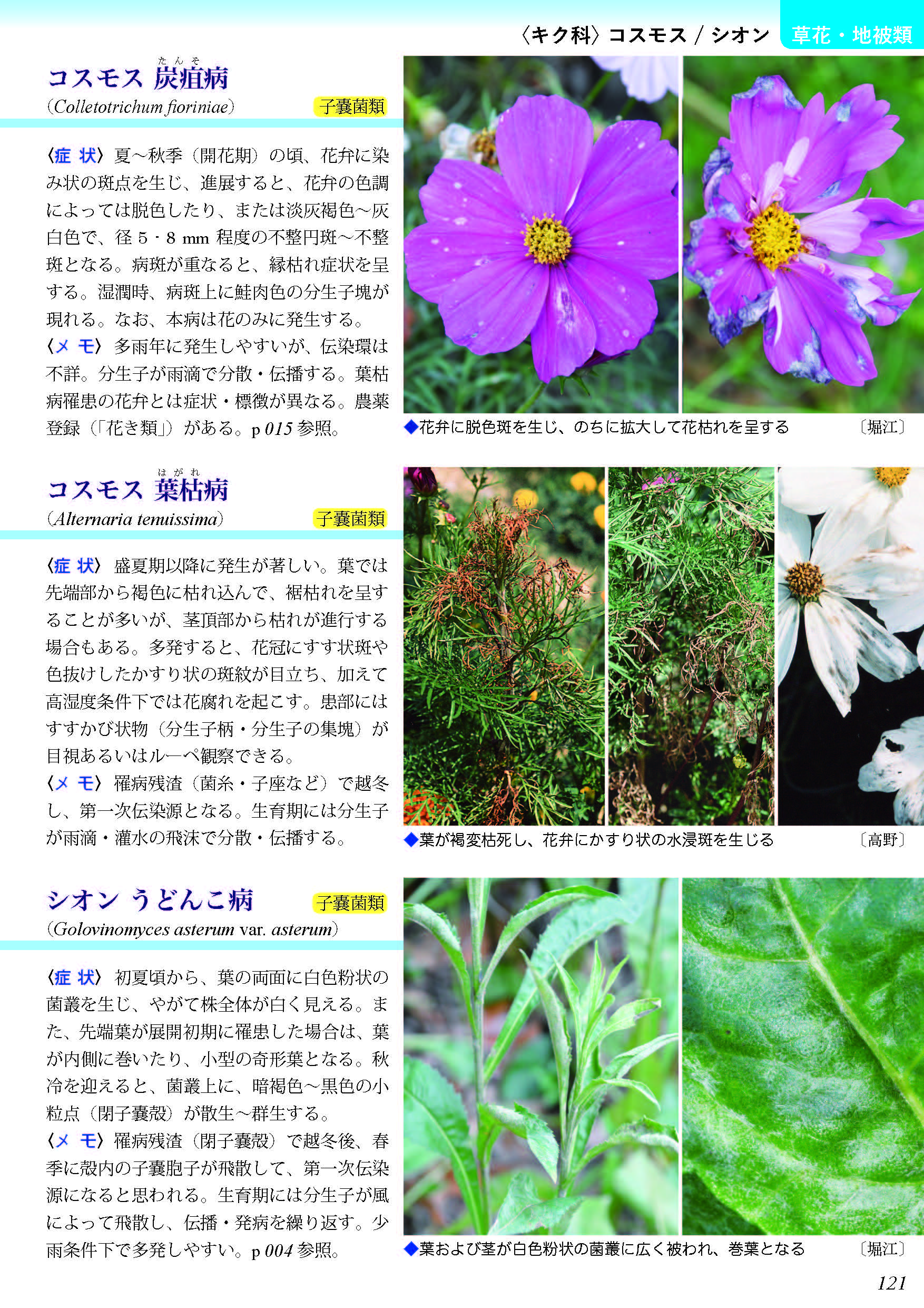 診断ハンドブック 緑地・花壇の病害虫(植物医科学叢書 No.9) - 大誠社