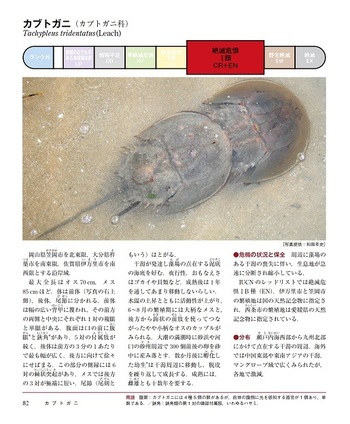 世界の絶滅危惧生物図鑑 : IUCNレッドリスト 世界の絶滅危惧生物図鑑 : IUCNレッドリスト - メルカリ