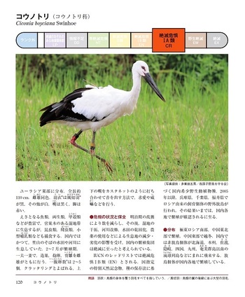 環境省レッドリスト 日本の絶滅危惧生物図鑑 - 丸善出版 理工