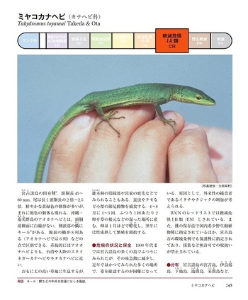 世界の絶滅危惧生物図鑑 : IUCNレッドリスト - メルカリ