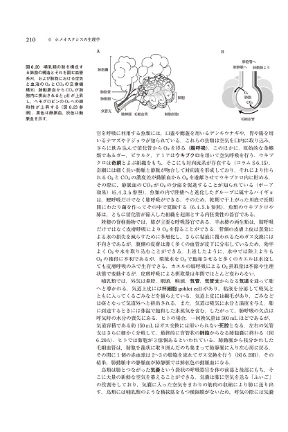 動物の生理学 -分子メカニズムと多様性- - 丸善出版 理工・医学・人文