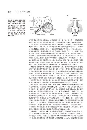 動物生理学 動物生理学［原書第5版］ - 東京大学出版会
