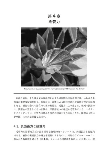 接触と摩擦の物理学 接触と摩擦の物理学 | Valentin L. Popov, 中野 健 |本 | 通販