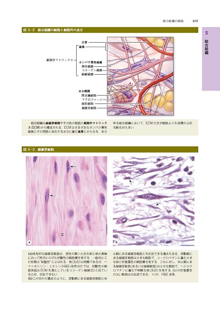 e526cf22-d161-4f6c-971f-