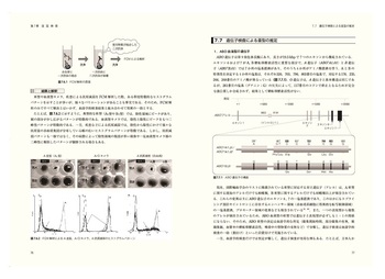 絵でみる輸血/医学書院/Ｊｏｈｎ　Ｇ・Ｋｅｌｔｏｎ（大型本） 絵でみる輸血 | John G.Kelton, 田村 真 |本 | 通販 | Amazon