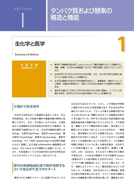 【値下げ】ハーパー生化学 原書25版 イラストレイテッド ハーパー・生化学 原書32版 - 丸善出版 理工・医学