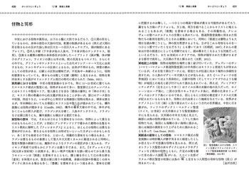 イギリス文化事典 丸善出版 川成洋 イギリス文化事典編集委員会 61iwKtvqxKS.jpg_BO30,255,255,