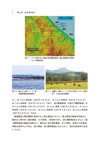 ナノ構造物質の光学応答/丸善出版/張紀久夫（単行本） ナノ構造物質の光学応答/丸善出版/張紀久夫（単行本） 本