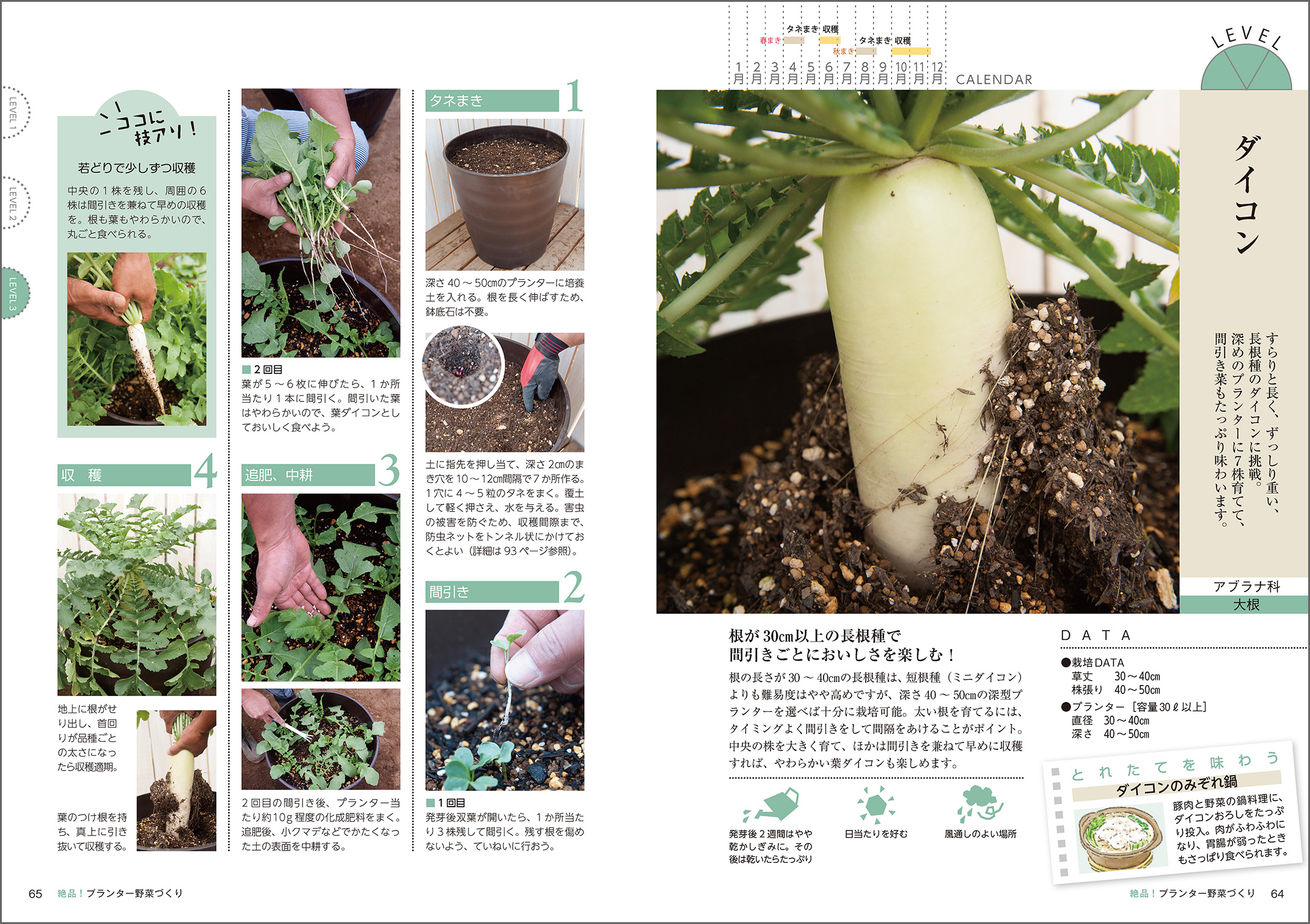 農家の加藤さんが教える おいしいプランター野菜づくり - 株式会社玄光社