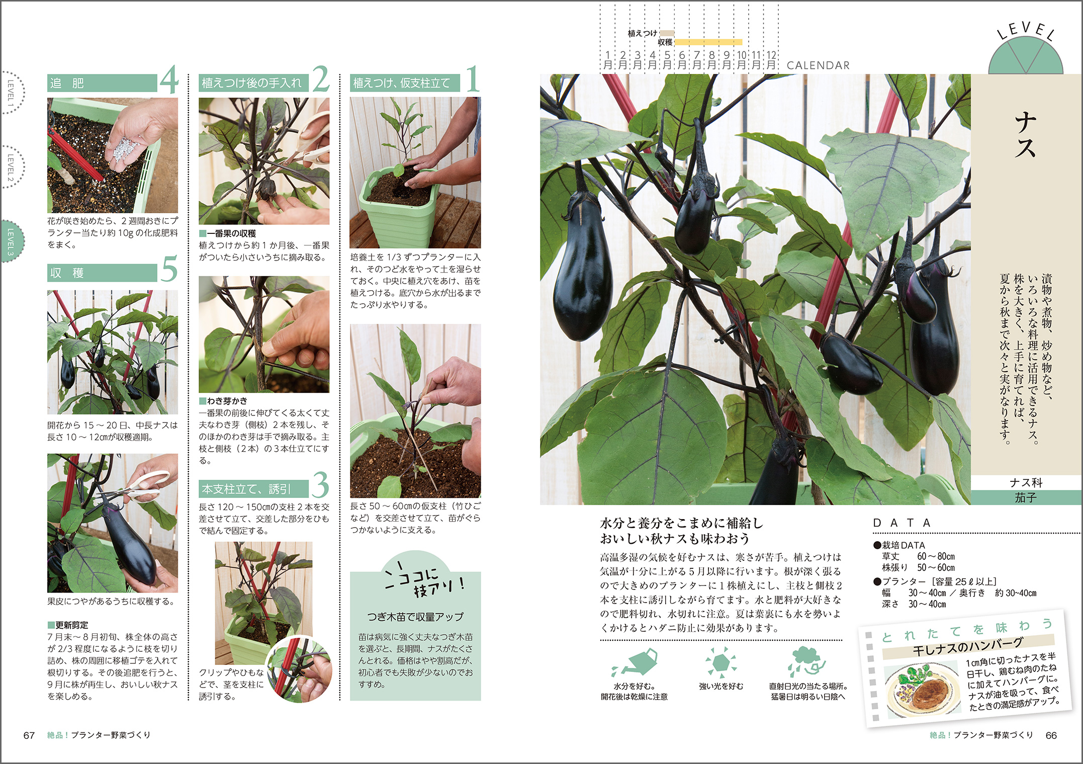 農家の加藤さんが教える おいしいプランター野菜づくり - 株式会社玄光社