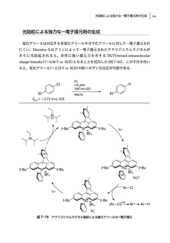 有機ラジカル反応の基礎 改訂2版 - 丸善出版 理工・医学・人文社会科学