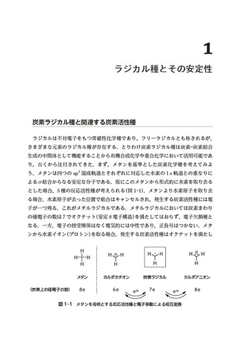 OHラジカル類の生成と応用技術 : 特性・反応・シミュレーションから環境浄化 OHラジカル類の生成と応用技術 : 特性・反応・シミュレーション