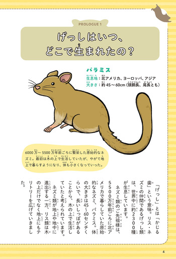 値下げ‼️こども図鑑　またまた値下げします！ いつだって全力かわいいげっし図鑑 - 株式会社日本文芸社
