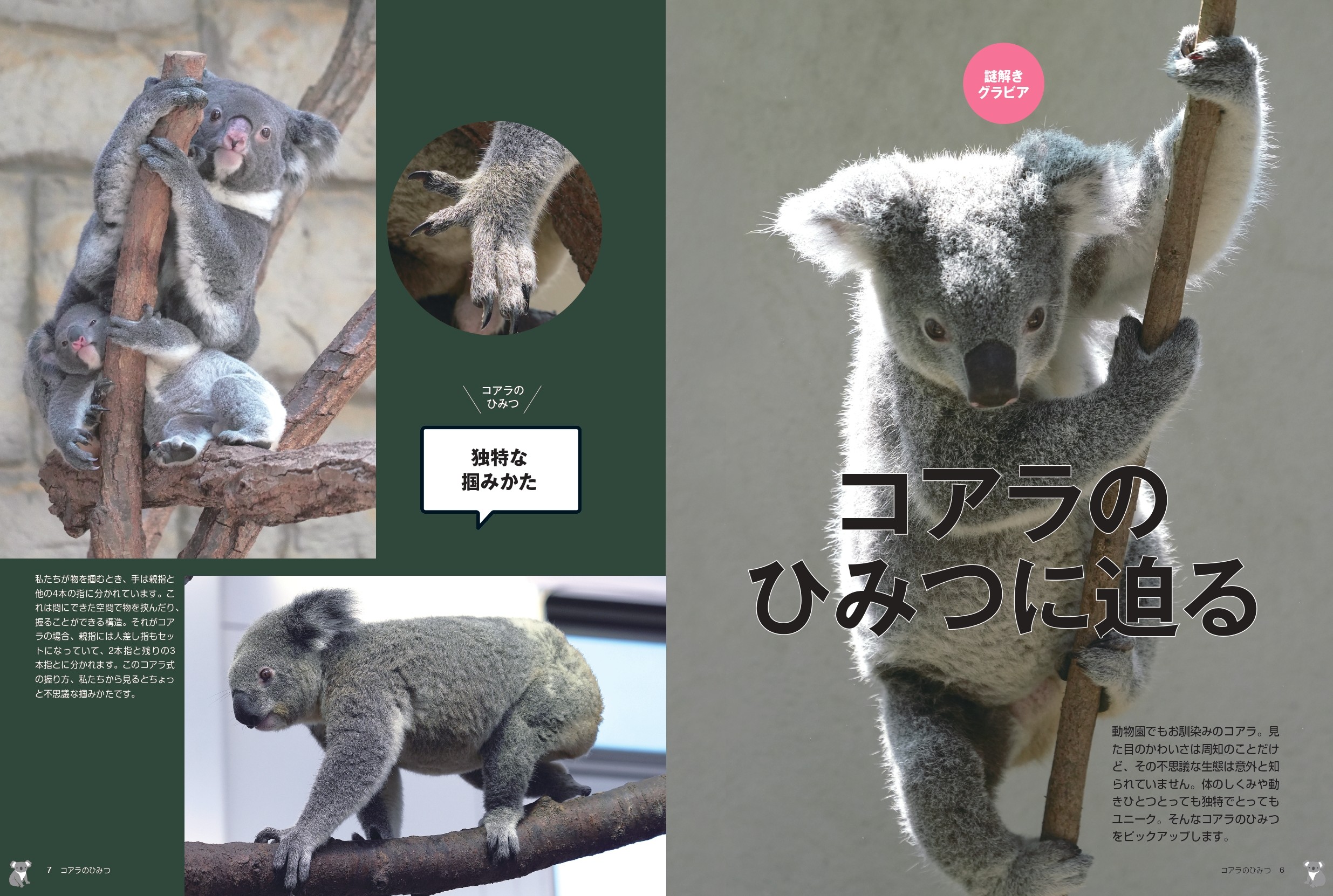 コアラの子供が緑のウンチを食べる理由: 知られざる野生の王国 (青春文庫 コアラの子供が緑のウンチを食べる理由: 知られざる野生の王国