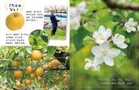 くだもののはな なんのはな？ - 株式会社岩崎書店 この1冊が未来をつくる