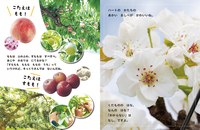 くだもののはな なんのはな？ - 株式会社岩崎書店 この1冊が未来をつくる