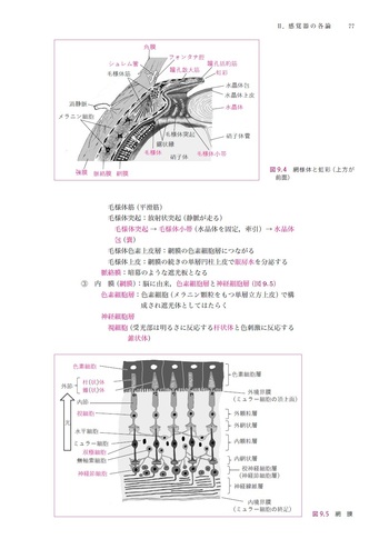 看護学生のための徹底解剖学講義 - 丸善出版 理工・医学・人文社会科学