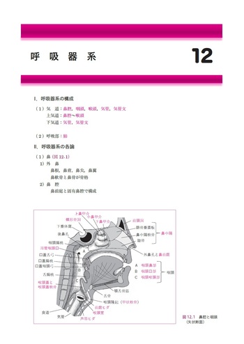 解剖学講義　改訂3版 解剖学講義 第3版【電子版】 | 医書.jp