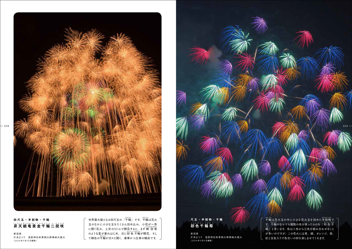 眺望絶佳の打ち上げ花火 - 株式会社玄光社