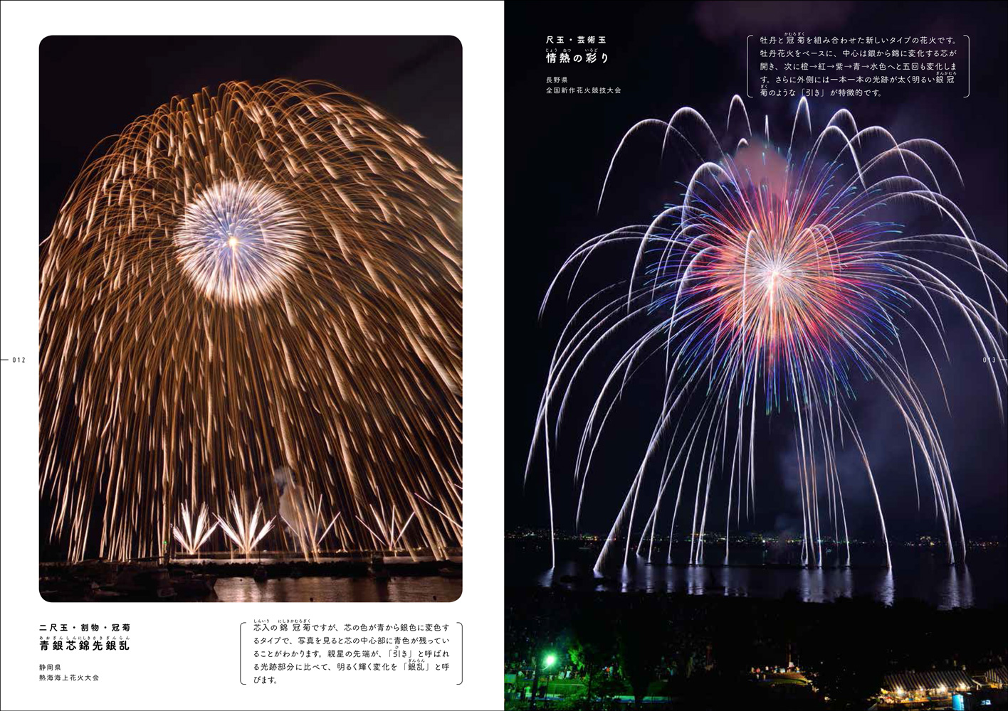 眺望絶佳の打ち上げ花火 - 株式会社玄光社
