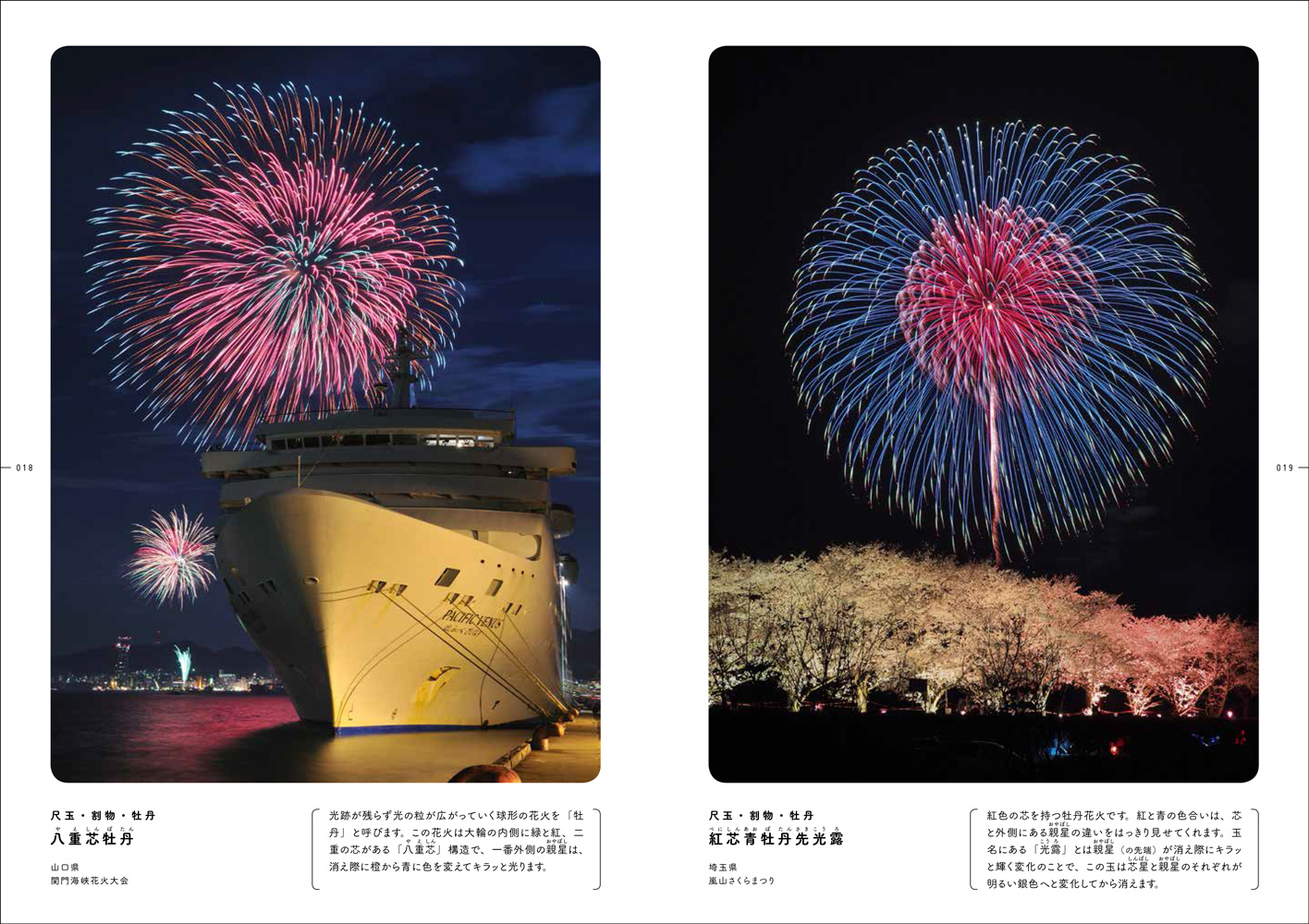 眺望絶佳の打ち上げ花火 - 株式会社玄光社