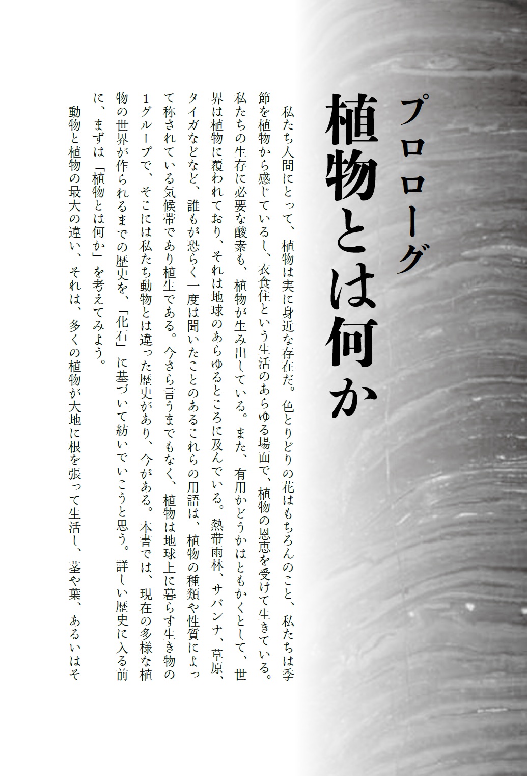 化石が語る植物の進化5億年史 - 丸善出版 理工・医学・人文社会科学の